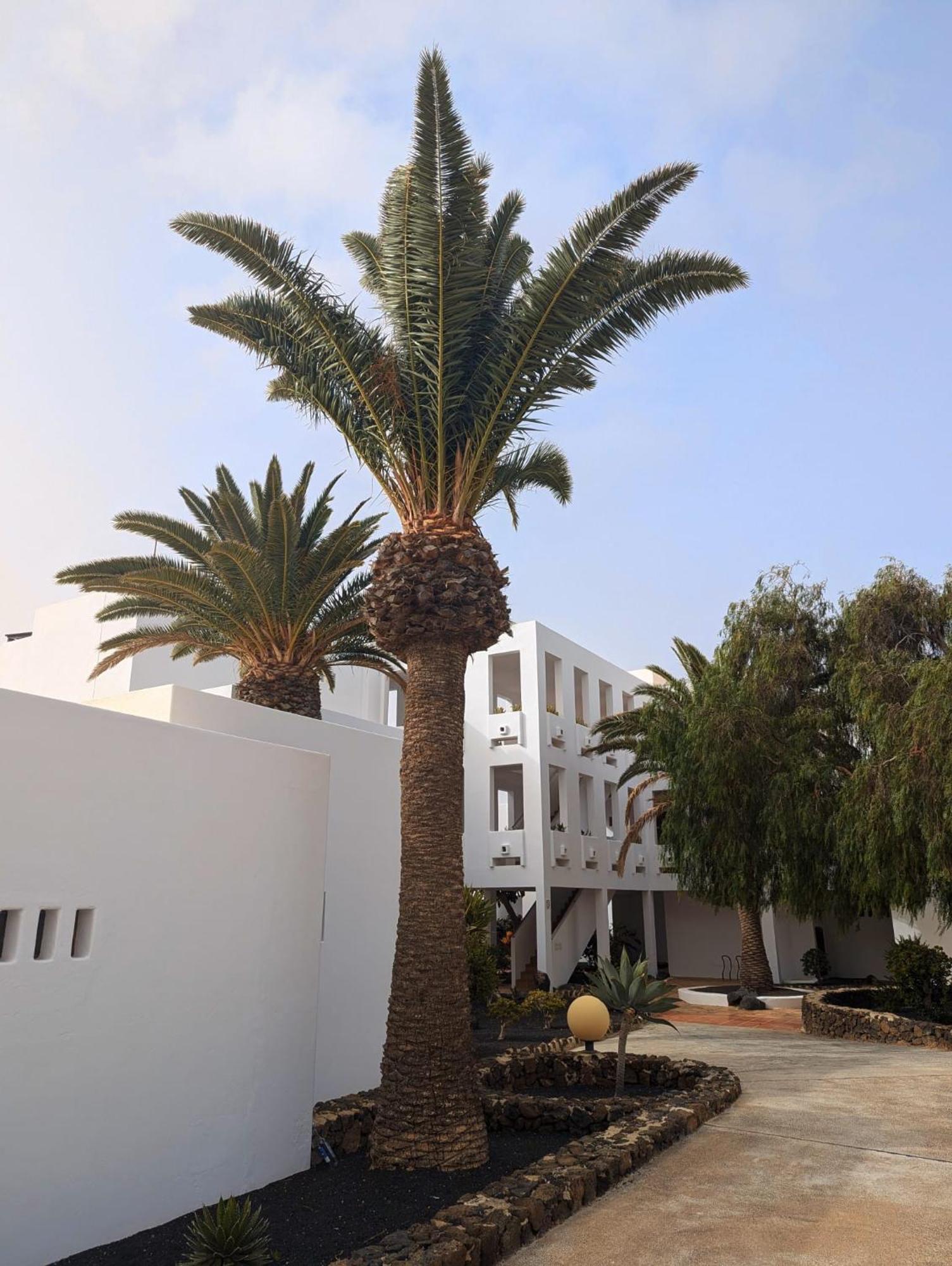 Charming Flat In Los Molinos With Terrace & Pools, Near Playa Bastian 코스타 테기세 외부 사진